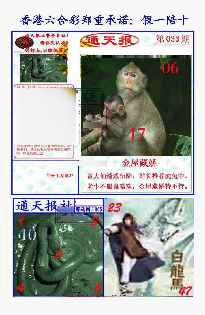 033期假一陪十通天报[图]